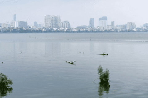 <a href="/trai-dat-xanh" title="Trái đất xanh" rel="dofollow">Trái đất xanh</a>