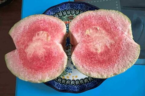 <a href="/thuong-hieu-xanh/van-de-hom-nay/moi-truong" title="Y tế" rel="dofollow">Y tế</a>
