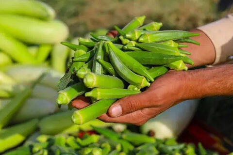 <a href="/thuong-hieu-xanh/van-de-hom-nay/moi-truong" title="Y tế" rel="dofollow">Y tế</a>