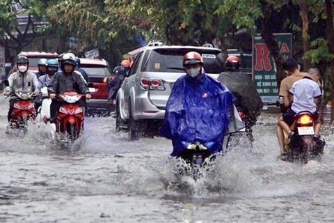 <a href="/trai-dat-xanh" title="Trái đất xanh" rel="dofollow">Trái đất xanh</a>