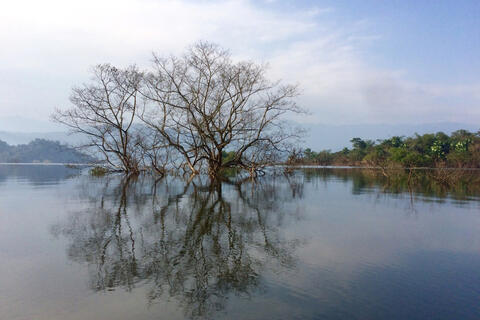<a href="/du-lich" title="Du lịch" rel="dofollow">Du lịch</a>