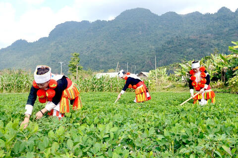 <a href="/phat-trien-ben-vung" title="Phát triển bền vững" rel="dofollow">Phát triển bền vững</a>