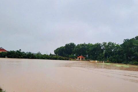 <a href="/thuong-hieu-xanh/tin-tuc/tin-trong-nuoc" title="Tin trong nước" rel="dofollow">Tin trong nước</a>