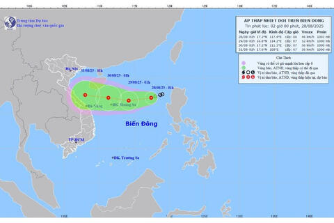 <a href="/trai-dat-xanh" title="Trái đất xanh" rel="dofollow">Trái đất xanh</a>
