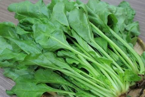 <a href="/thuong-hieu-xanh/van-de-hom-nay/moi-truong" title="Y tế" rel="dofollow">Y tế</a>