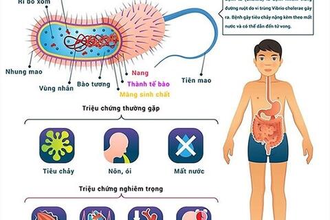 <a href="/thuong-hieu-xanh/van-de-hom-nay/moi-truong" title="Y tế" rel="dofollow">Y tế</a>