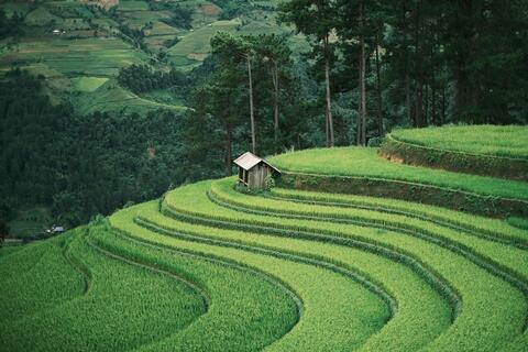 <a href="/du-lich" title="Du lịch" rel="dofollow">Du lịch</a>