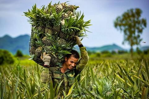 <a href="/van-de-hom-nay/ocop" title="OCOP" rel="dofollow">OCOP</a>