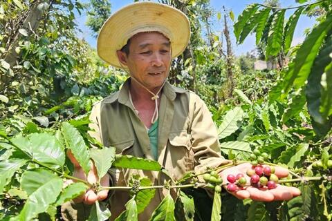 <a href="/van-hoa" title="Văn hóa" rel="dofollow">Văn hóa</a>