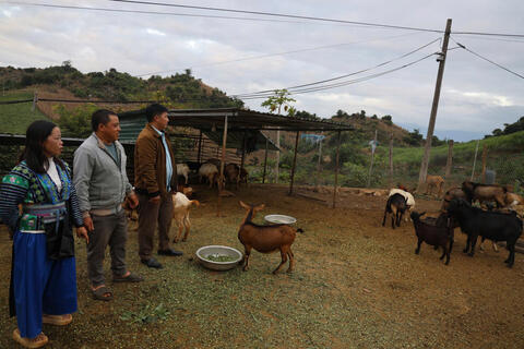 <a href="/phat-trien-ben-vung" title="Phát triển bền vững" rel="dofollow">Phát triển bền vững</a>