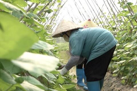 <a href="/phat-trien-ben-vung" title="Phát triển bền vững" rel="dofollow">Phát triển bền vững</a>