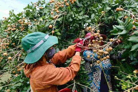 <a href="/phat-trien-ben-vung" title="Phát triển bền vững" rel="dofollow">Phát triển bền vững</a>