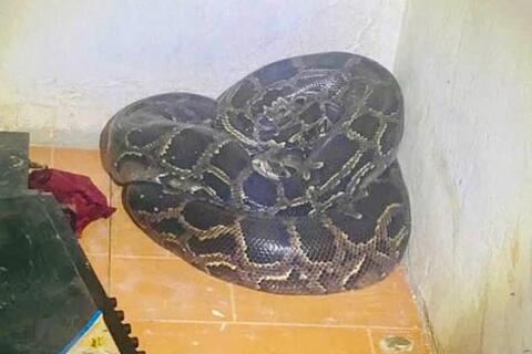 <a href="/trai-dat-xanh" title="Trái đất xanh" rel="dofollow">Trái đất xanh</a>