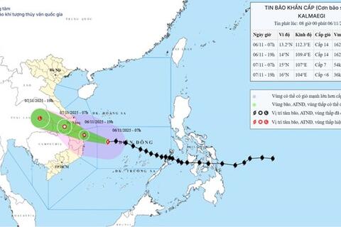 <a href="/trai-dat-xanh" title="Trái đất xanh" rel="dofollow">Trái đất xanh</a>