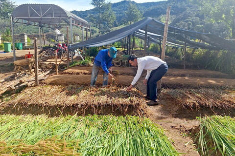 <a href="/phat-trien-ben-vung" title="Phát triển bền vững" rel="dofollow">Phát triển bền vững</a>