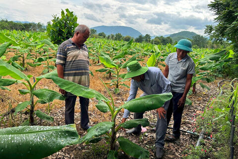 <a href="/phat-trien-ben-vung" title="Phát triển bền vững" rel="dofollow">Phát triển bền vững</a>