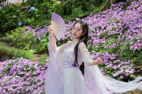 <a href="/spider" title="Spider" rel="dofollow">Spider</a>