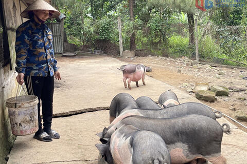 <a href="/van-de-hom-nay/ocop" title="OCOP" rel="dofollow">OCOP</a>