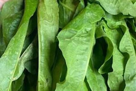 <a href="/van-de-hom-nay" title="Vấn đề hôm nay" rel="dofollow">Vấn đề hôm nay</a>