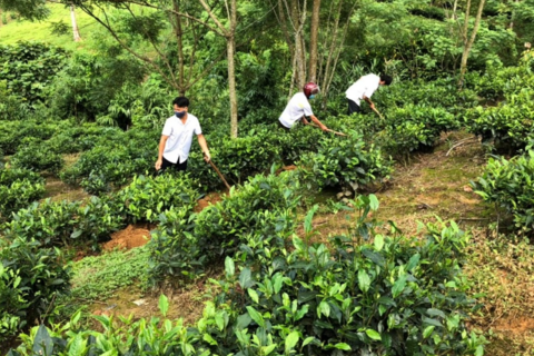 <a href="/van-de-hom-nay/ocop" title="OCOP" rel="dofollow">OCOP</a>