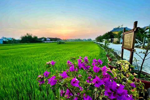 <a href="/phat-trien-ben-vung" title="Phát triển bền vững" rel="dofollow">Phát triển bền vững</a>