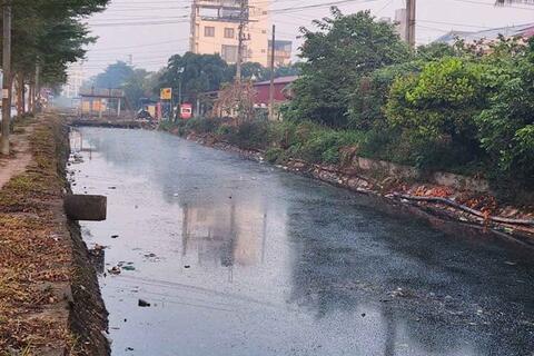 <a href="/phap-luat" title="Pháp luật" rel="dofollow">Pháp luật</a>