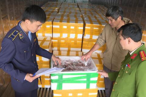 <a href="/phap-luat" title="Pháp luật" rel="dofollow">Pháp luật</a>