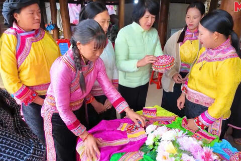 <a href="/phat-trien-ben-vung" title="Phát triển bền vững" rel="dofollow">Phát triển bền vững</a>