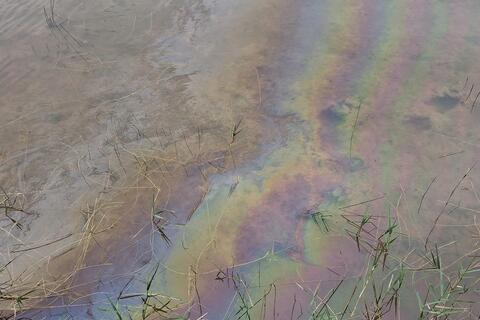 <a href="/tin-tuc" title="Tin tức" rel="dofollow">Tin tức</a>