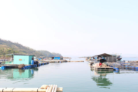 <a href="/thuong-hieu-xanh/tin-tuc/tin-trong-nuoc" title="Tin trong nước" rel="dofollow">Tin trong nước</a>