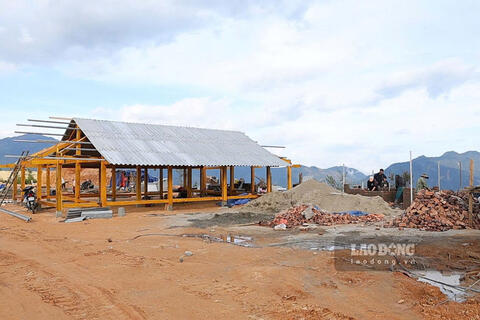 <a href="/thuong-hieu-xanh/tin-tuc/tin-trong-nuoc" title="Tin trong nước" rel="dofollow">Tin trong nước</a>