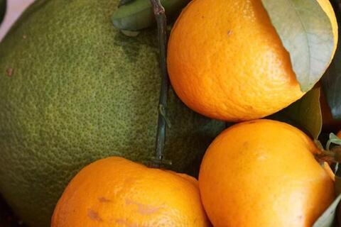 <a href="/van-de-hom-nay" title="Vấn đề hôm nay" rel="dofollow">Vấn đề hôm nay</a>