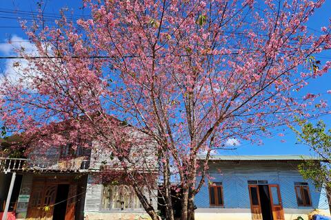 <a href="/van-de-hom-nay" title="Vấn đề hôm nay" rel="dofollow">Vấn đề hôm nay</a>