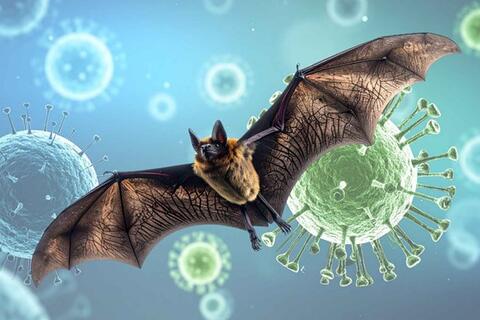 <a href="/van-de-hom-nay" title="Vấn đề hôm nay" rel="dofollow">Vấn đề hôm nay</a>