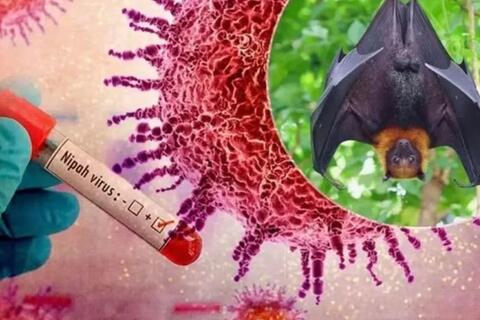 <a href="/thuong-hieu-xanh/van-de-hom-nay/moi-truong" title="Y tế" rel="dofollow">Y tế</a>