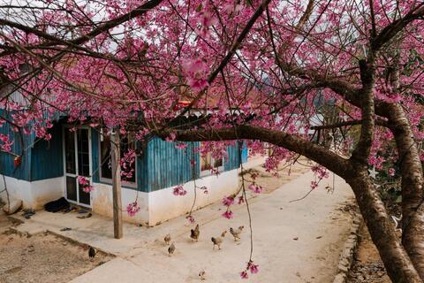 <a href="/du-lich" title="Du lịch" rel="dofollow">Du lịch</a>