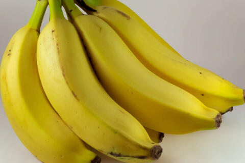 <a href="/thuong-hieu-xanh/van-de-hom-nay/moi-truong" title="Y tế" rel="dofollow">Y tế</a>