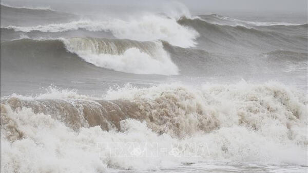 Các tỉnh từ Quảng Ninh-An Giang chủ động ứng phó với rủi ro thiên tai trên biển