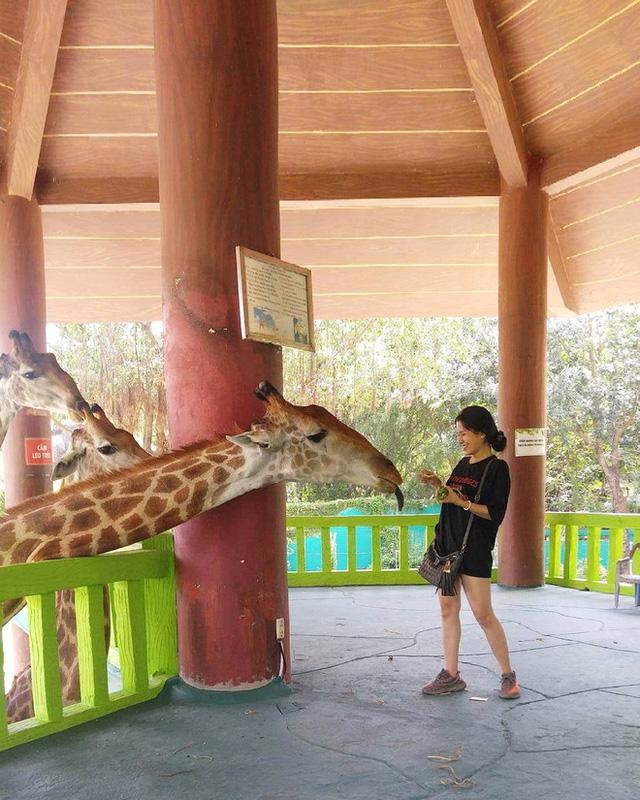 Những kỷ lục gây choáng của khu du lịch Đại Nam - nơi đang là tâm điểm giữa ồn ào của bà Phương Hằng và dàn nghệ sĩ Việt - Ảnh 26. Những kỷ lục gây choáng của khu du lịch Đại Nam - nơi đang là tâm điểm giữa ồn ào của bà Phương Hằng và dàn nghệ sĩ Việt - Ảnh 26.