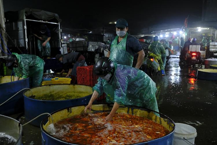 Ha Noi: Cho Yen So do ruc ca chep truoc ngay tien ong Cong ong Tao ve troi-Hinh-2