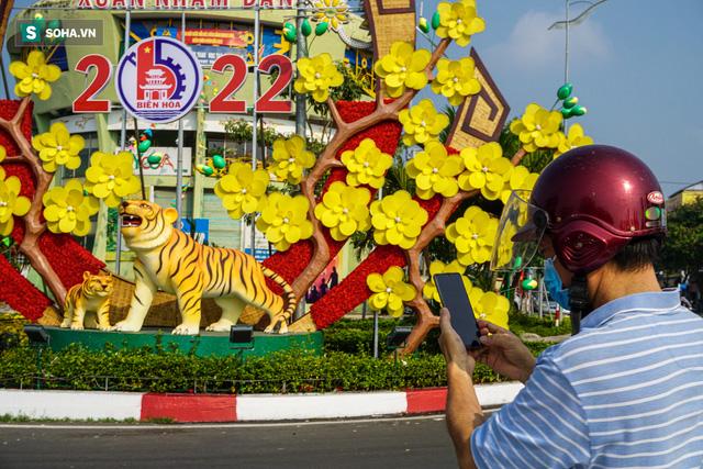 Cuộc đua linh vật chào xuân Nhâm Dần trên cả nước: Hổ Đồng Nai xuất hiện đầy ngơ ngác - Ảnh 7.