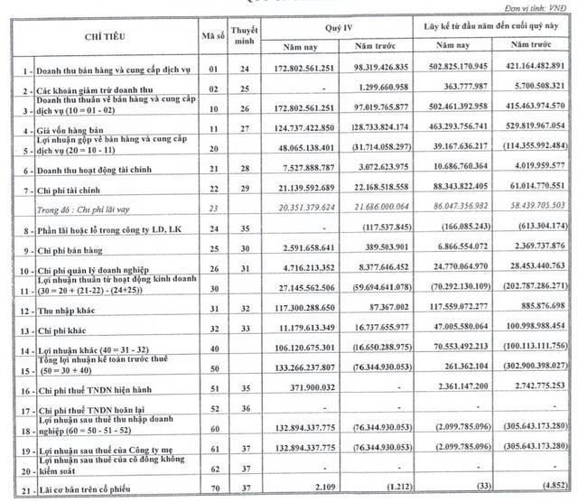 Nhờ được xoá nợ, Vitranschart (VST) báo lãi quý 4 đạt 133 tỷ đồng - Ảnh 2.