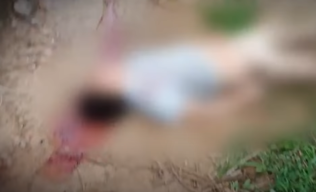 Hành trình phá án: Xác người bên bờ suối và cuộc Hanh trinh pha an: Xac nguoi ben bo suoi va cuoc