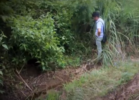 Hành trình phá án: Xác người bên bờ suối và cuộc Hanh trinh pha an: Xac nguoi ben bo suoi va cuoc