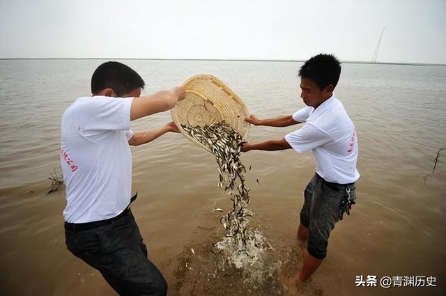 Bị giễu cợt là kẻ điên, ông vua ngành thép 62 tuổi vẫn bất chấp chi tiền khủng thả 60 triệu cá giống xuống sông, cứ ngỡ mất trắng nhưng 9 năm sau thu về cỗ máy in tiền triệu  - Ảnh 4.