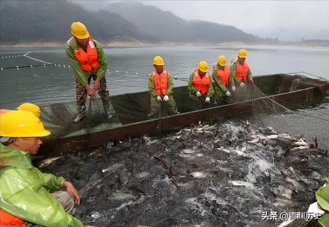 Bị giễu cợt là kẻ điên, ông vua ngành thép 62 tuổi vẫn bất chấp chi tiền khủng thả 60 triệu cá giống xuống sông, cứ ngỡ mất trắng nhưng 9 năm sau thu về cỗ máy in tiền triệu  - Ảnh 6.