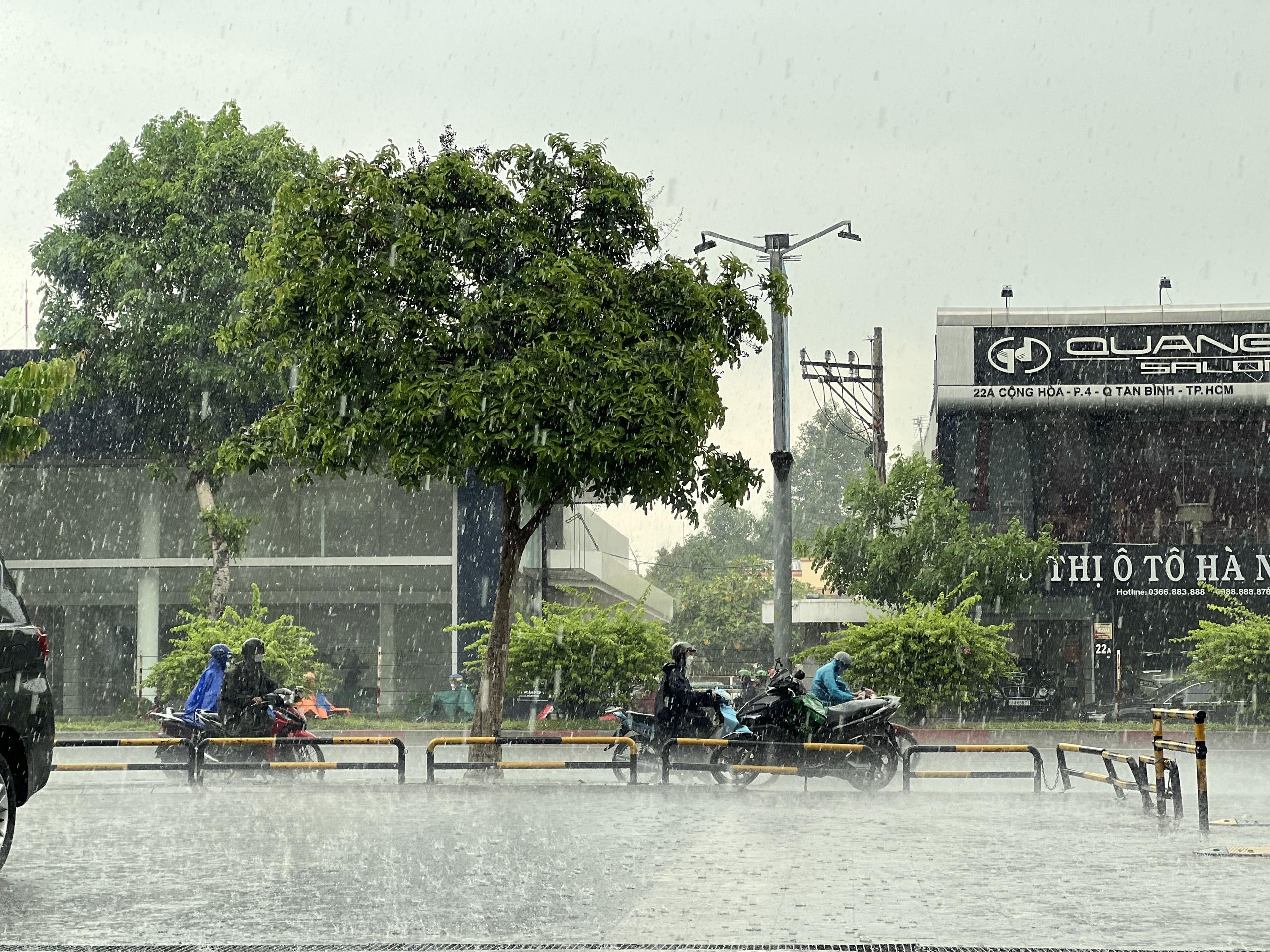 TP.HCM co the ngap nang anh 1