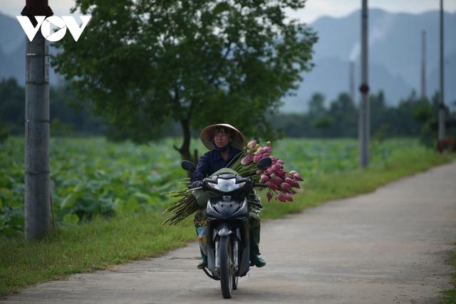 Lạc vào không gian như cổ tích ở đầm sen hồng lớn nhất Hà Nội - Ảnh 9.