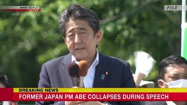 Shinzo Abe bi ban anh 1