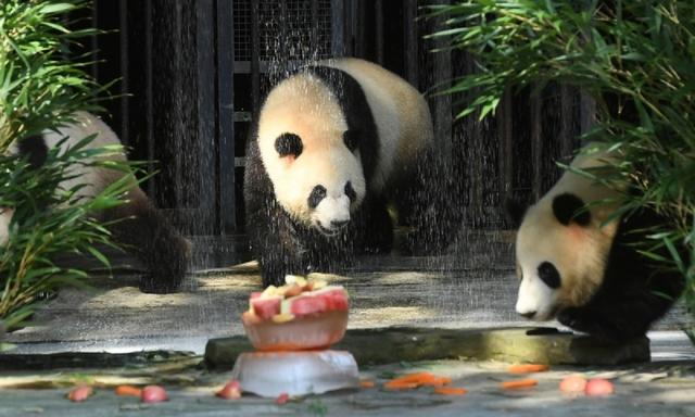 Nắng nóng kinh hoàng ở Trung Quốc: Thành phố biến thành lò lửa, 900 triệu người bị ảnh hưởng - Ảnh 2.